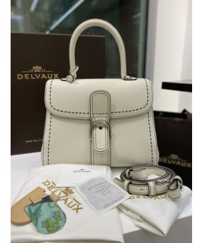 델보 브리앙 박스백 미듐